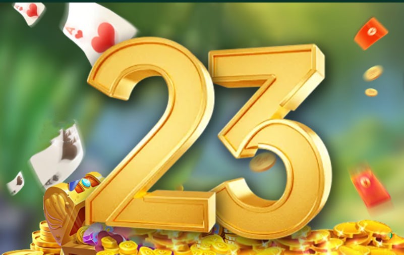 b29