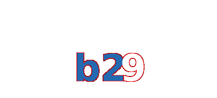 b29