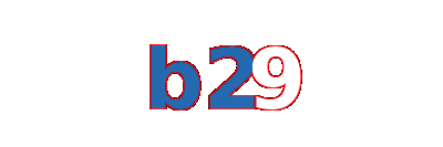 b29